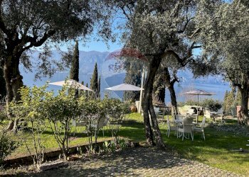 Giardino - Attico via Pai di sotto
 
1280, Torri del Benaco - foto 9