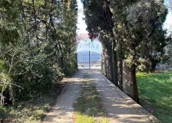 Giardino - One-room apartment Torri del Benaco - photo 13