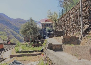 Giardino - Casa indipendente Valle Cannobina - foto 37