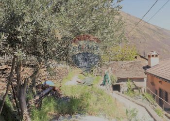 Giardino - Casa indipendente Valle Cannobina - foto 38