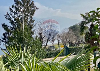 Giardino - Casa indipendente Cannobio - foto 19