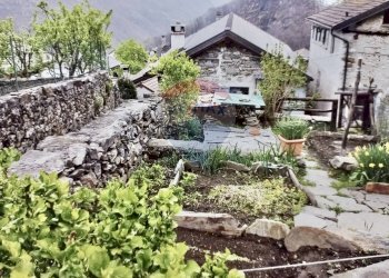 Giardino - Baita Valle Cannobina - foto 7