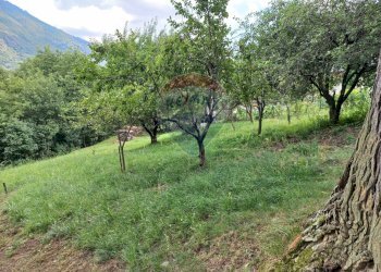 Giardino - Baita Valle Cannobina - foto 17