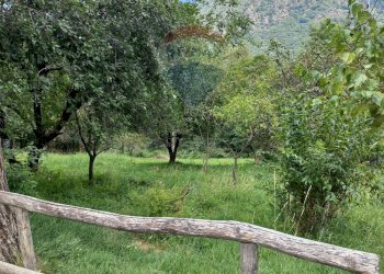 Vista delle montagne - Baita Valle Cannobina - foto 18