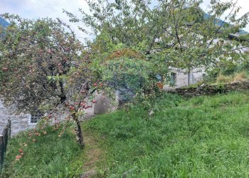 Giardino - Baita Valle Cannobina - foto 19