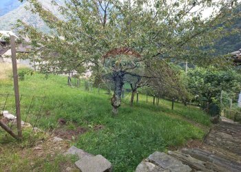 Giardino - Baita Valle Cannobina - foto 21