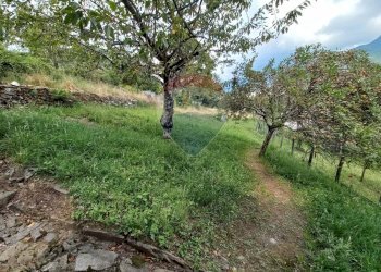 Giardino - Baita Valle Cannobina - foto 22