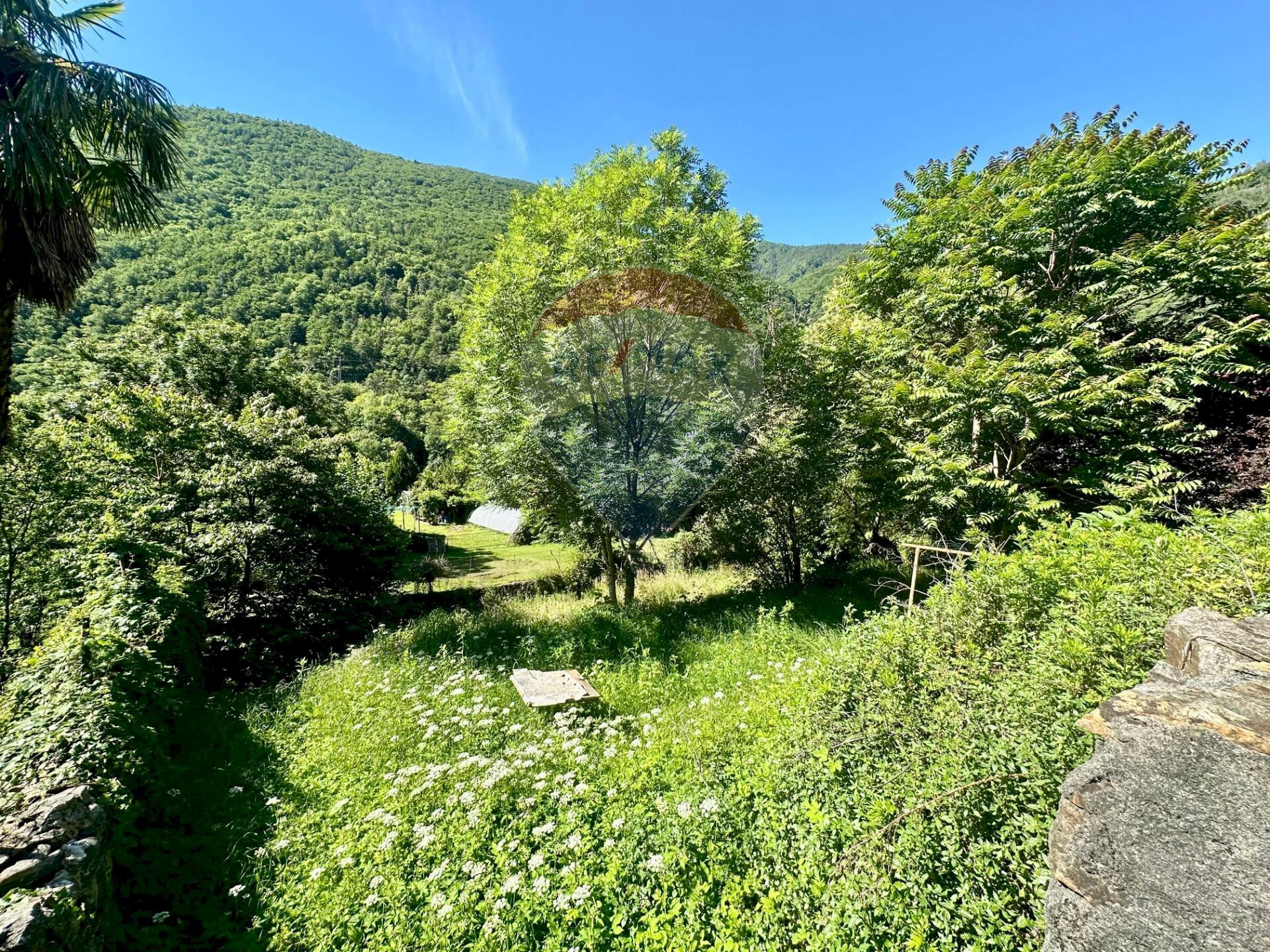 Giardino - Building land Cannobio - photo 2