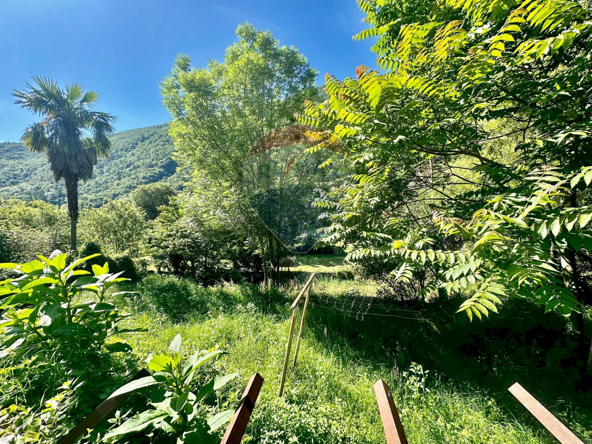 Giardino - Building land Cannobio - photo 3