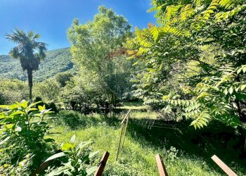 Giardino - Terreno edificabile Cannobio - foto 3