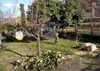 Giardino - Casa indipendente Trarego Viggiona - foto 5