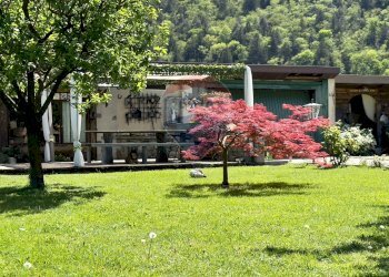 Giardino - Casa indipendente Cannobio - foto 44