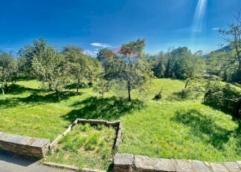 Giardino - Casa indipendente Trarego Viggiona - foto 28