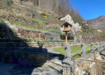Vista delle montagne - Casa indipendente Via Casa Boggia
 
1, Valle Cannobina - foto 35