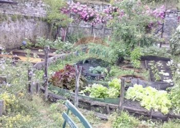 Giardino - Rustic via teresa tarchetti
 
6, Cannero Riviera - photo 28