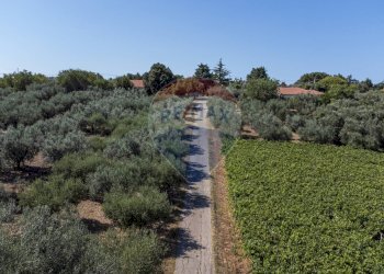 Non correlato - Casa indipendente Fossacesia - foto 4