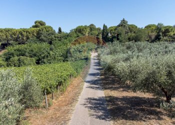 Giardino - Casa indipendente Fossacesia - foto 17