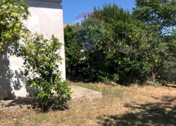 Giardino - Casa indipendente Fossacesia - foto 28