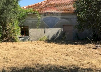 Giardino - Casa indipendente Fossacesia - foto 35