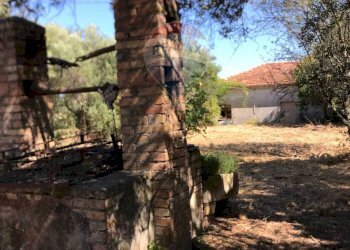 Giardino - Casa indipendente Fossacesia - foto 36