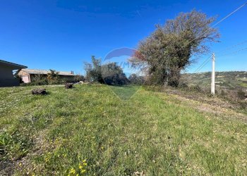 Giardino - Casa semi indipendente Semivicoli c.da Dandalo, Casacanditella - foto 32