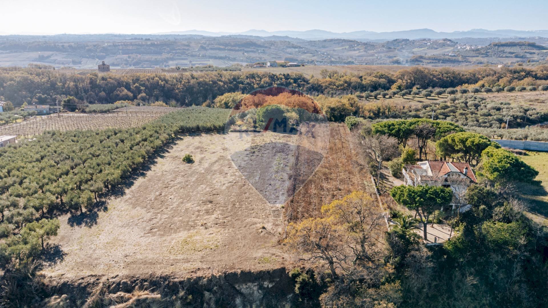 Vista delle montagne - Terreno agricolo C.da Lentesco, Torino di Sangro - foto 2