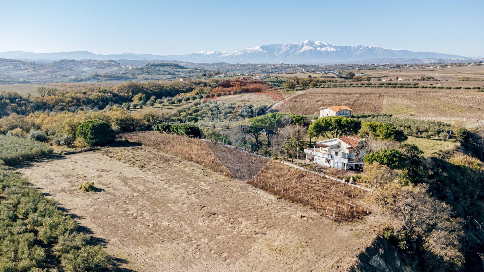 Vista delle montagne - Terreno agricolo C.da Lentesco, Torino di Sangro - foto 3