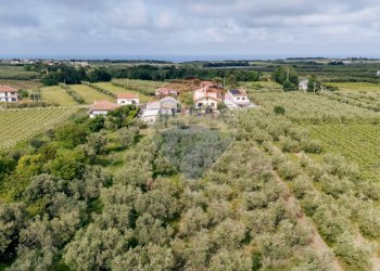 Vista delle montagne - Casa indipendente C.da Scalzino
 
46, Rocca San Giovanni - foto 6