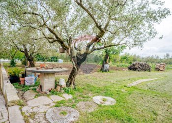 Giardino - Casa indipendente C.da Scalzino
 
46, Rocca San Giovanni - foto 16