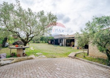 Giardino - Casa indipendente C.da Scalzino
 
46, Rocca San Giovanni - foto 17