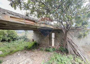 Foto 13 - Rustico Colle della Fonte, Frisa - foto 13