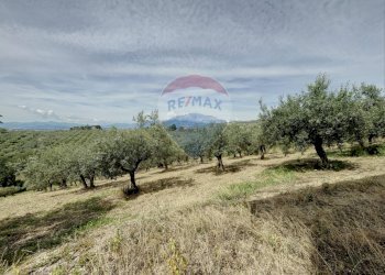 Foto 35 - Casa indipendente Lanciano - foto 35