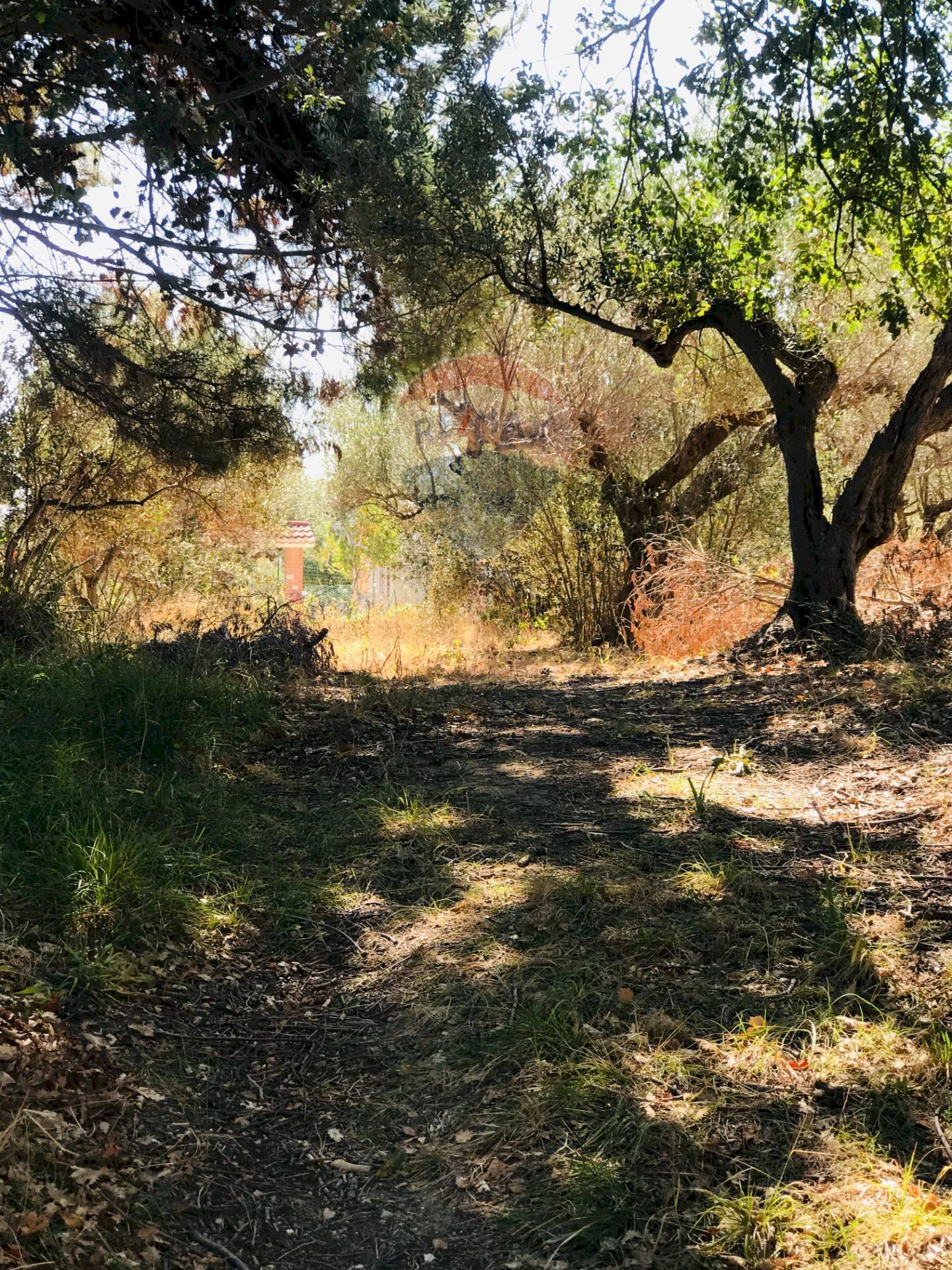 Foto 4 - Terreno edificabile C.Da Dragoni, Torino di Sangro - foto 3