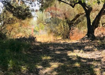 Foto 4 - Terreno edificabile C.Da Dragoni, Torino di Sangro - foto 3