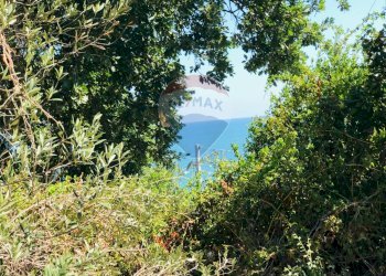 Foto 10 - Terreno edificabile C.Da Dragoni, Torino di Sangro - foto 9