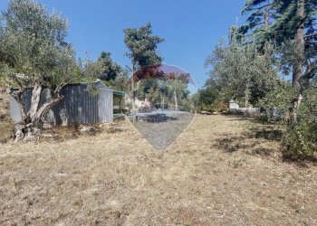 Giardino - Villa Via Casone
 
51, Fossacesia - photo 19