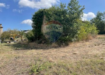 Giardino - Terreno agricolo Via Santa Giusta, Lanciano - foto 15
