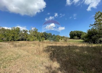 Giardino - Terreno agricolo Via Santa Giusta, Lanciano - foto 28