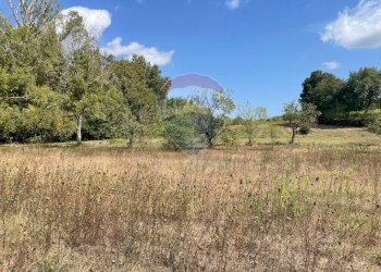 Giardino - Terreno agricolo Via Santa Giusta, Lanciano - foto 30