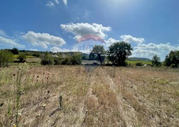 Vista delle montagne - Terreno agricolo Via Santa Giusta, Lanciano - foto 33