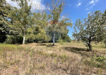 Giardino - Terreno agricolo Via Santa Giusta, Lanciano - foto 34
