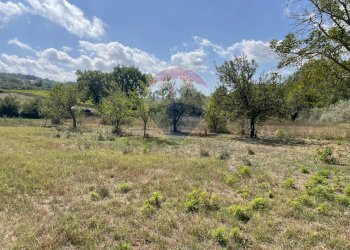 Giardino - Terreno agricolo Via Santa Giusta, Lanciano - foto 39
