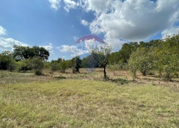 Giardino - Terreno agricolo Via Santa Giusta, Lanciano - foto 40
