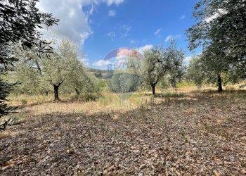 Giardino - Terreno agricolo Via Santa Giusta, Lanciano - foto 49