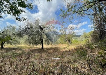 Giardino - Terreno agricolo Via Santa Giusta, Lanciano - foto 50