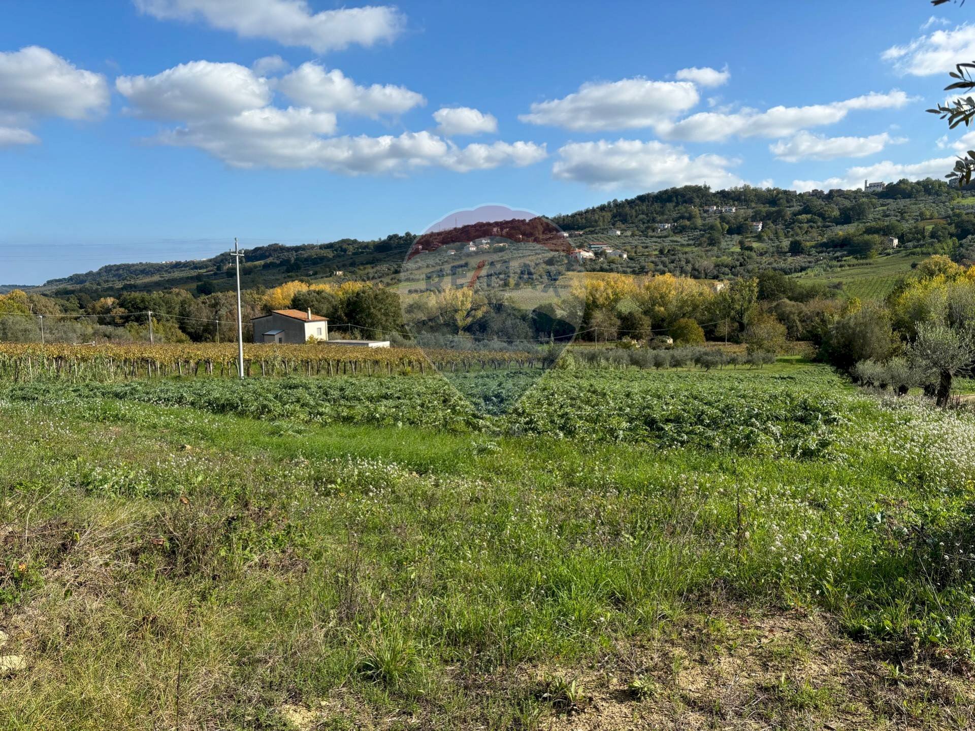 Vista delle montagne - Agricultural land Via Feltrino, Frisa - photo 2