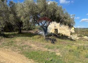 Giardino - Agricultural land Via Feltrino, Frisa - photo 4