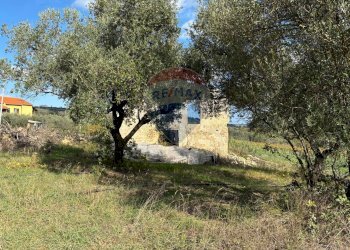 Giardino - Agricultural land Via Feltrino, Frisa - photo 5