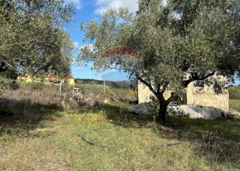 Giardino - Agricultural land Via Feltrino, Frisa - photo 6