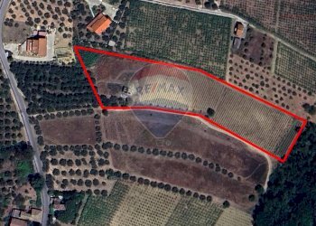 Posizione della mappa - Agricultural land Via Feltrino, Frisa - photo 9